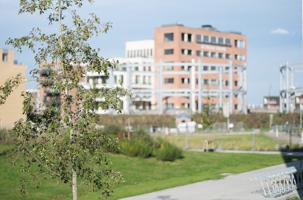 wonen-te-midden-van-een-weelderig-park-van-72-000m-slechts-1-000m-verwijderd-van-het-gravensteen-009.jpg