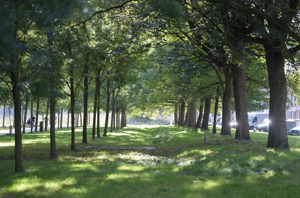 wonen-te-midden-van-een-weelderig-park-van-72-000m-slechts-1-000m-verwijderd-van-het-gravensteen-015.jpg