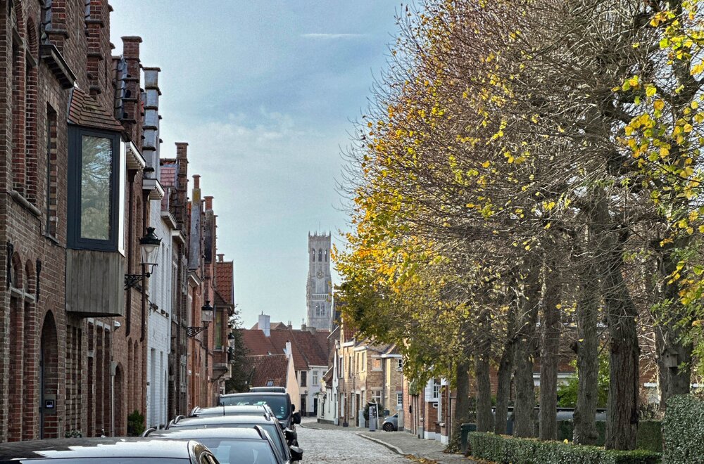 riante-stadsvilla-in-knokse-stijl-met-grote-garage-diverse-terrassen-en-sublieme-tuin-zicht-op-de-molens-en-alle-brugse-torens-grondoppervlakte-655-m2034.jpg