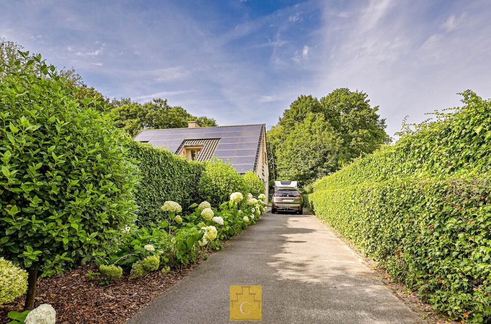 ruime-villa-op-een-zonnig-perceel-aan-de-rand-van-het-bos-heel-veel-privacy-met-zwemspa-en-barrelsauna-grote-garage-perceel-1050-m2007.jpg