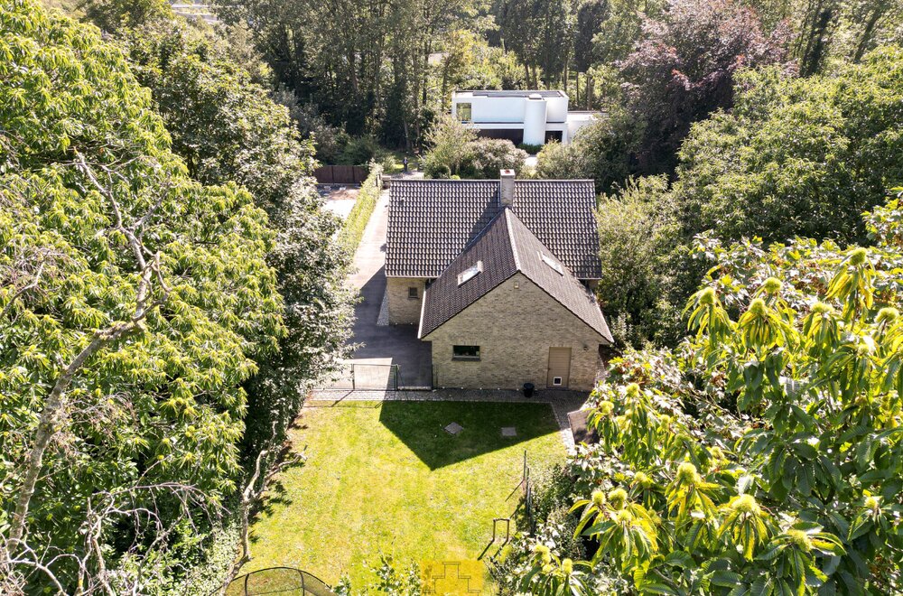 ruime-villa-op-een-zonnig-perceel-aan-de-rand-van-het-bos-heel-veel-privacy-met-zwemspa-en-barrelsauna-grote-garage-perceel-1050-m2008.jpg