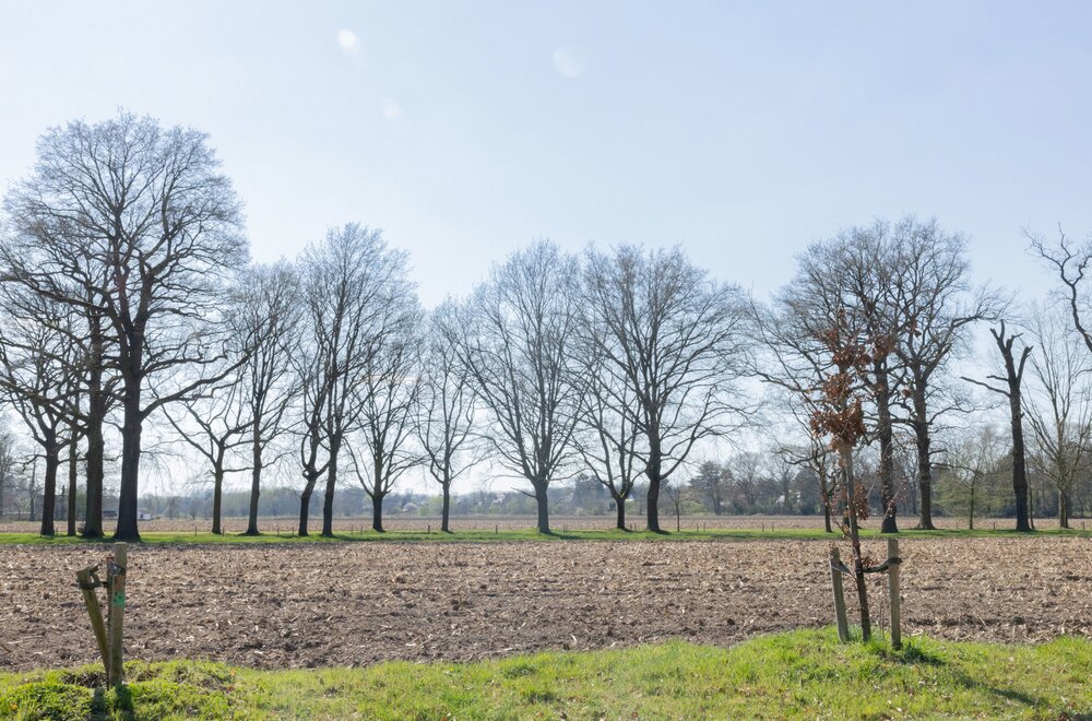 kortrijksesteenweg-frans-halslaan017.jpg