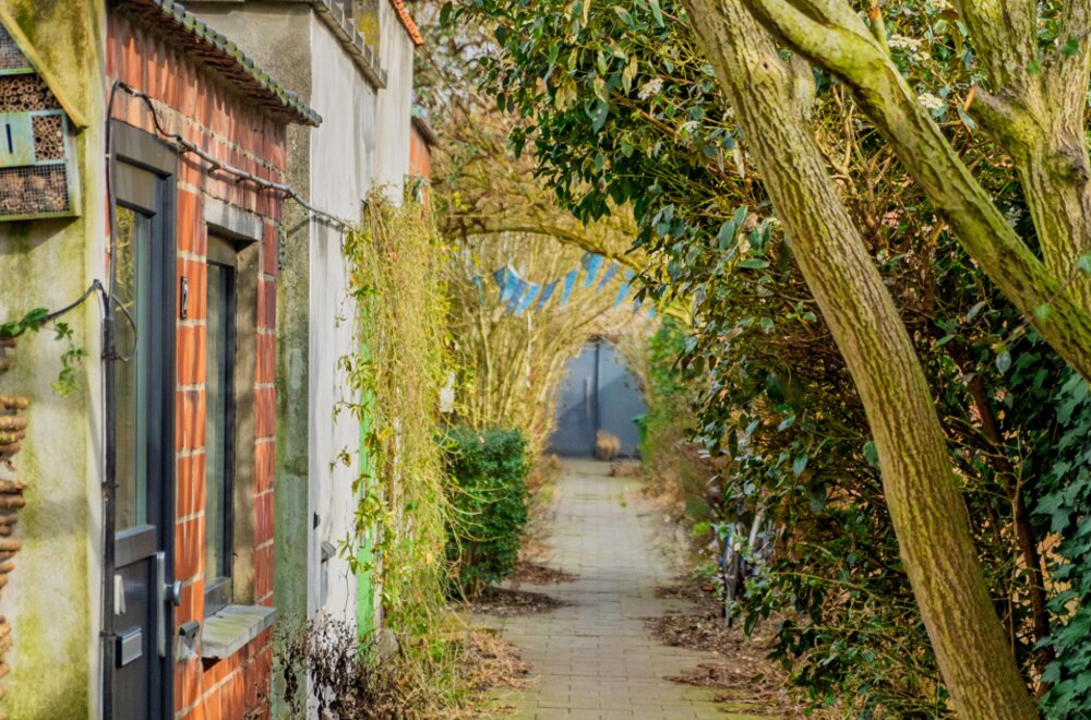brugsesteenweg-90a-9000-gent026.jpg