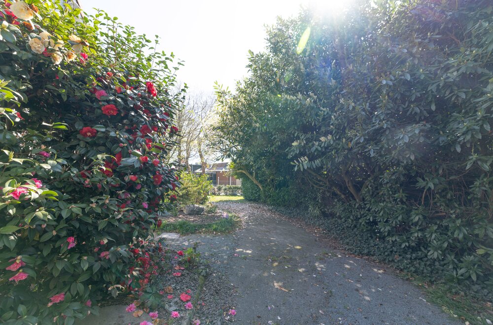 waalbrugstraat-20-te-wondelgem018.jpg