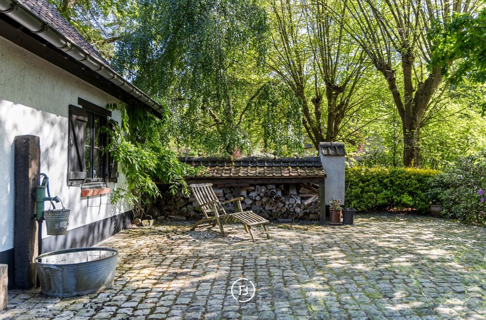 hoog-linden004.jpg