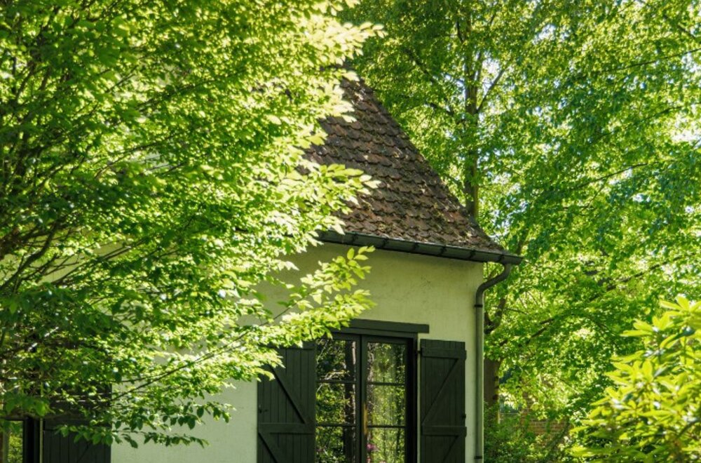 hoog-linden018.jpg