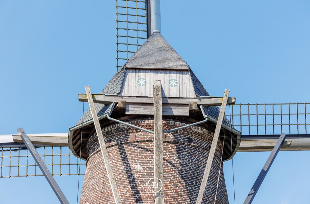windmolen-de-hoop-012.jpg