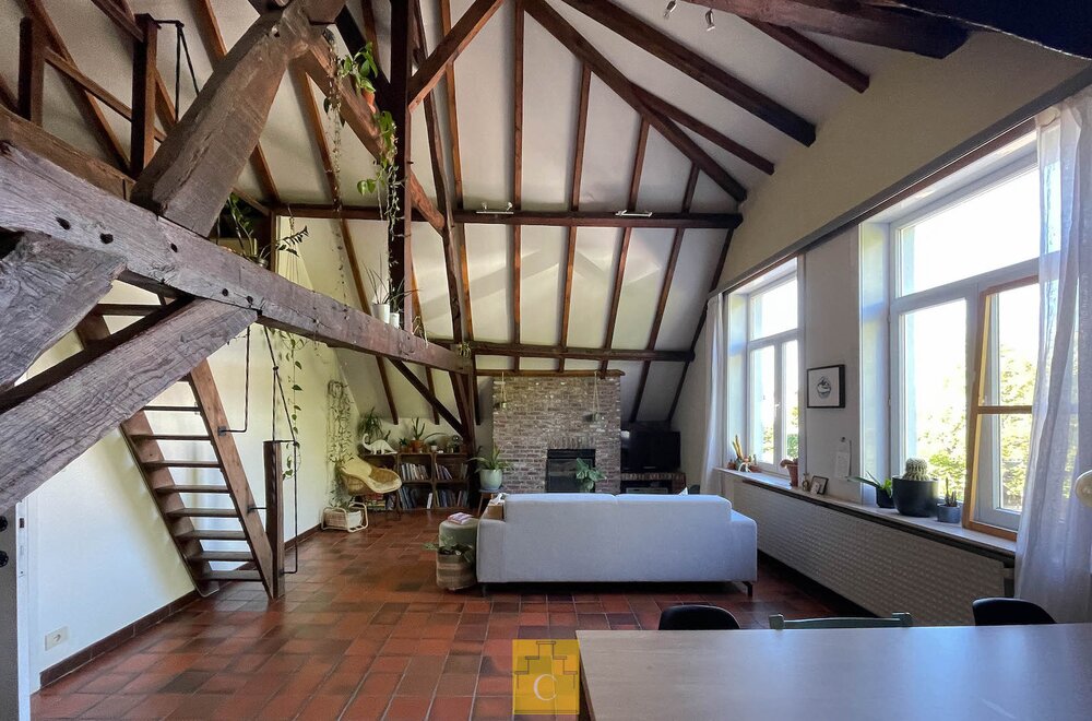ruim-dakappartement-in-herenhuis-aan-de-potterierei008.jpg