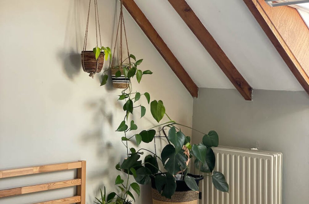 ruim-dakappartement-in-herenhuis-aan-de-potterierei020.jpg