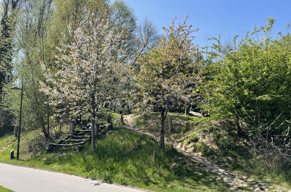 brugsesteenweg-90b-9000-gent011.jpg