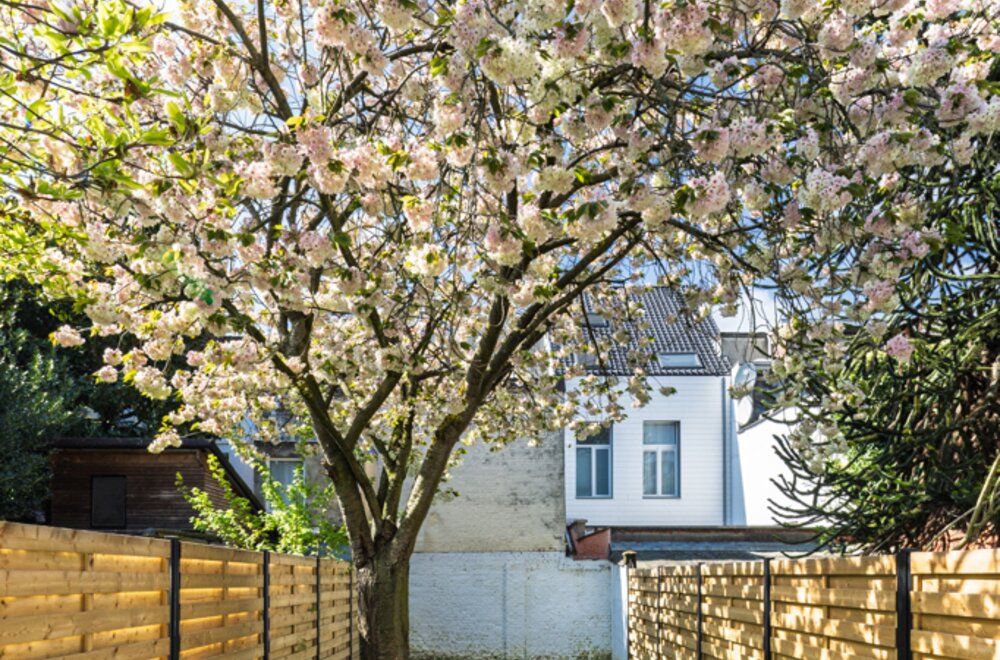 gerenoveerde-woning-met-grote-zonnige-tuin-en-epc-a008.jpg
