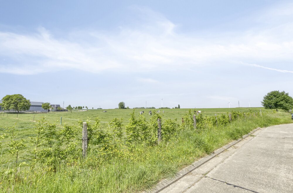 kloosterstraat-18-9472-denderleeuw014.jpg
