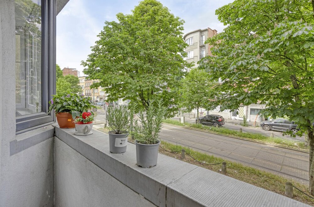 gerenoveerd-2-slpk-appt-te-koop-met-zicht-op-de-platanen006.jpg
