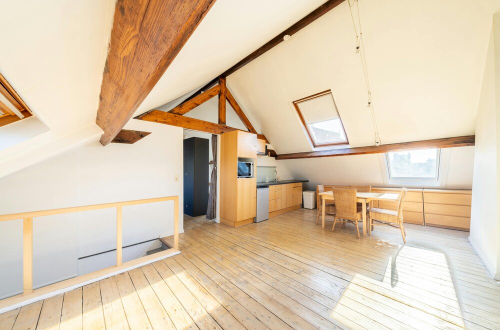 opbrengsteigendom-in-karaktervolle-herenwoning011.jpg
