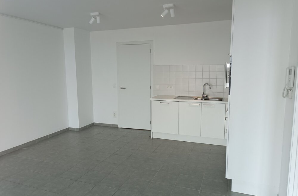 1-slaapkamerappartement-met-terras-en-panoramisch-zicht-over-brussel009.jpg
