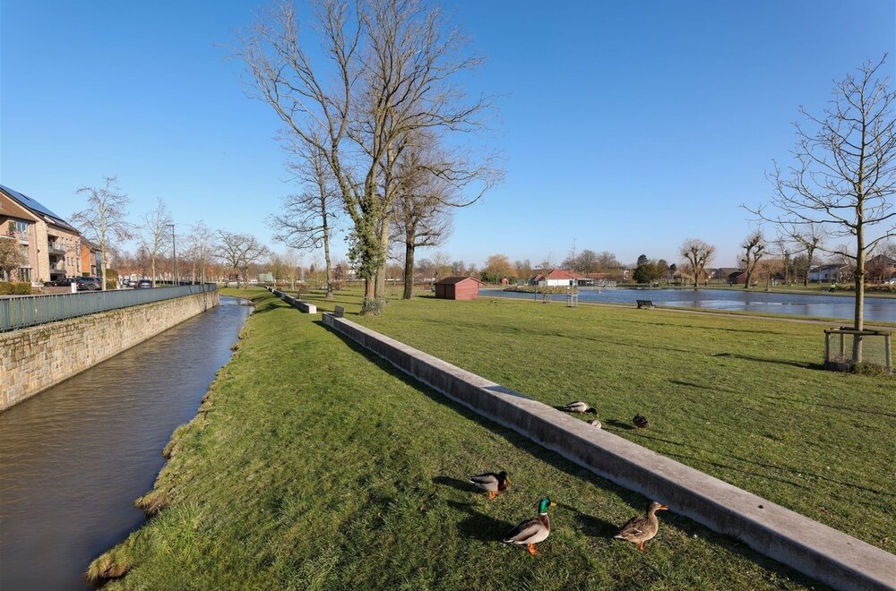 gelijkvloerse-studio-gelegen-in-hartje-tongeren-opbrengsteigendom007.jpg