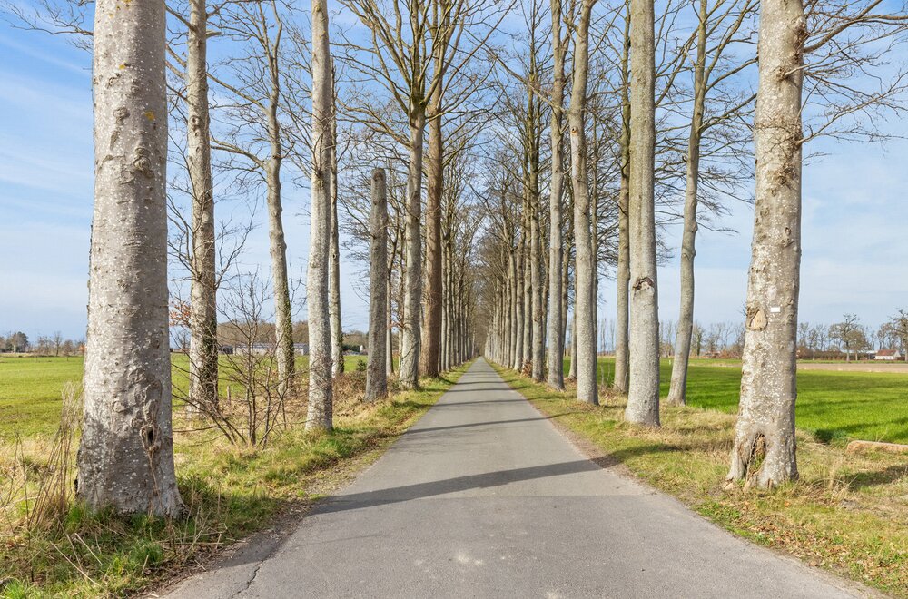 moderne-ben-woning-in-een-groene-en-kindvriendelijke-buurt032.jpg