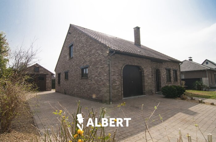 3590 Diepenbeek