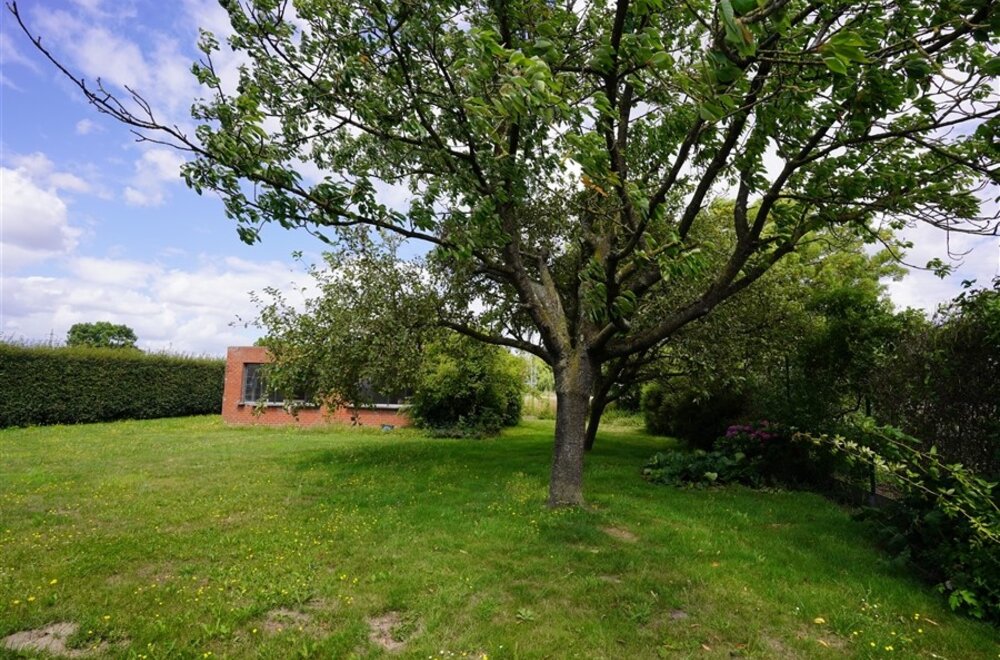 bijzonder-uime-halfopen-woning-met-landelijke-rust-op-954-m-028.jpg
