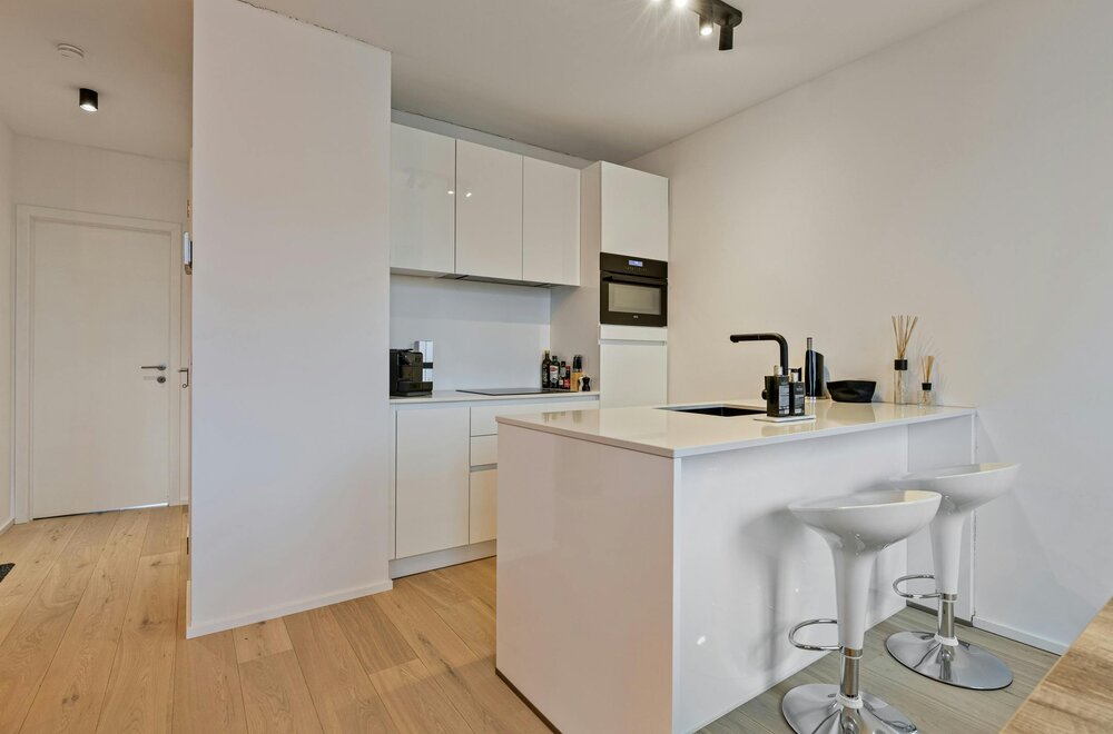 appartement-te-koop-op-de-frankrijklei-te-antwerpen-centrum010.jpg