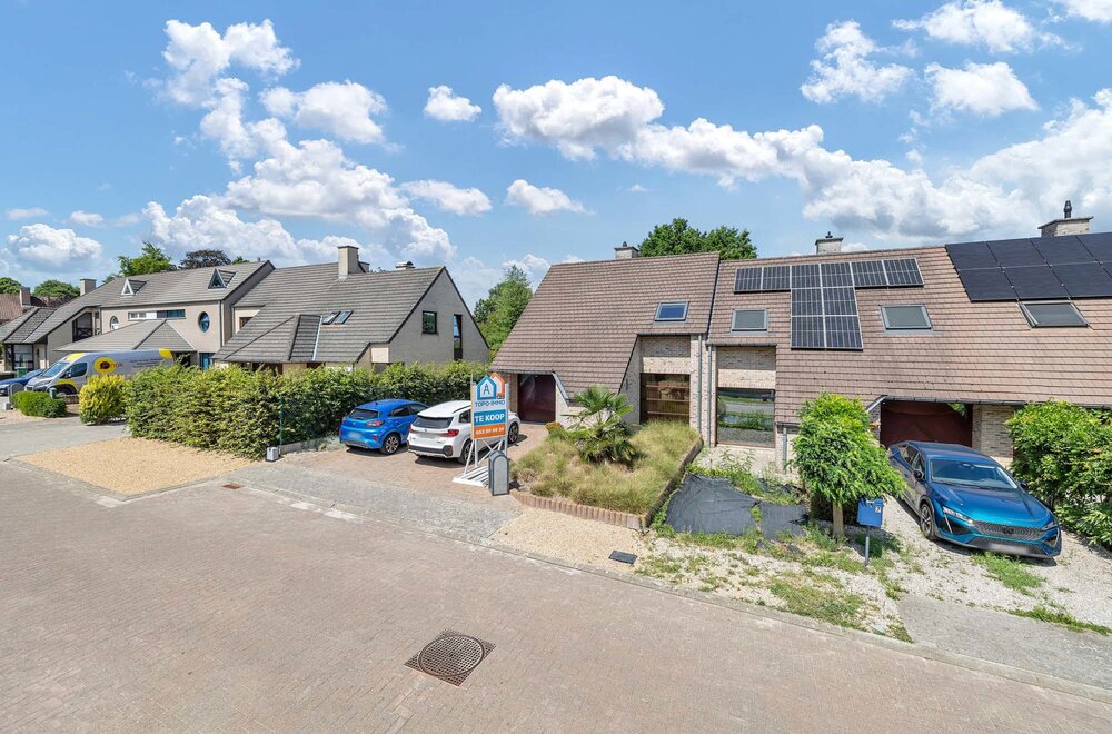 9470-denderleeuw-paardekastanje-9002.jpg