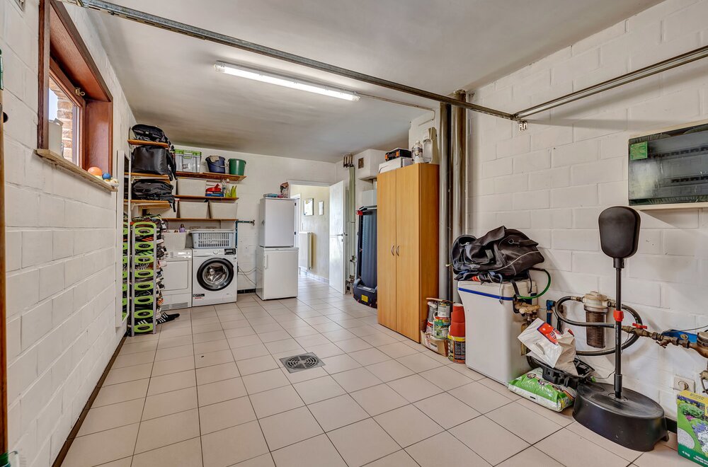 9470-denderleeuw-paardekastanje-9014.jpg