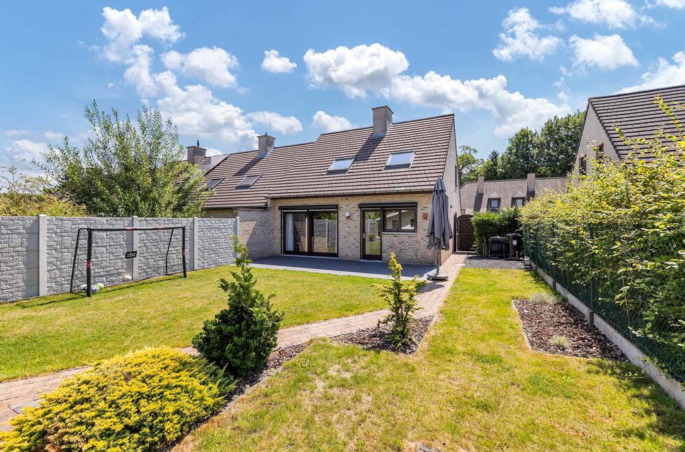 9470-denderleeuw-paardekastanje-9024.jpg