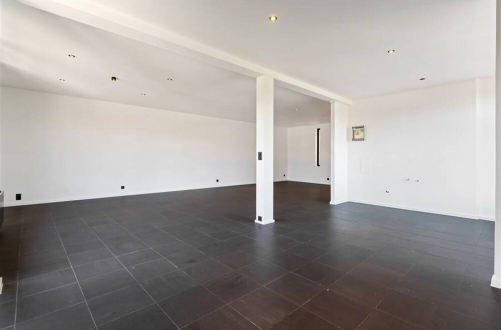 unieke-loft-met-mogelijkheid-tot-extra-kantoorruimte-te-koop-in-berchem-023.jpg