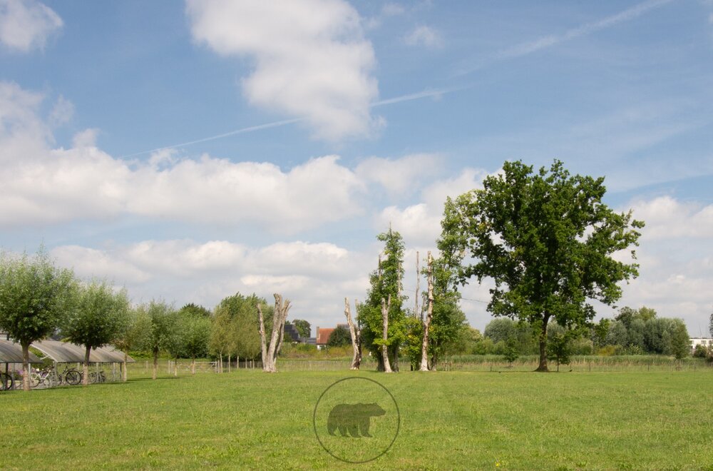 luxueus-gelijkvloersappartement-in-de-natuur-nabij-gent-centrum-023.jpg