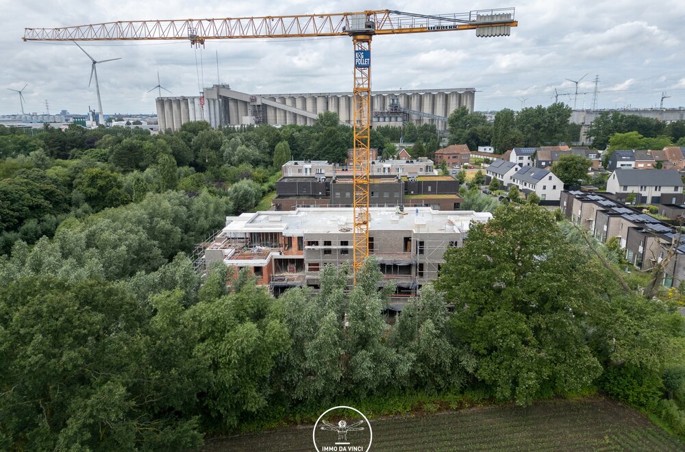 3c010.jpg