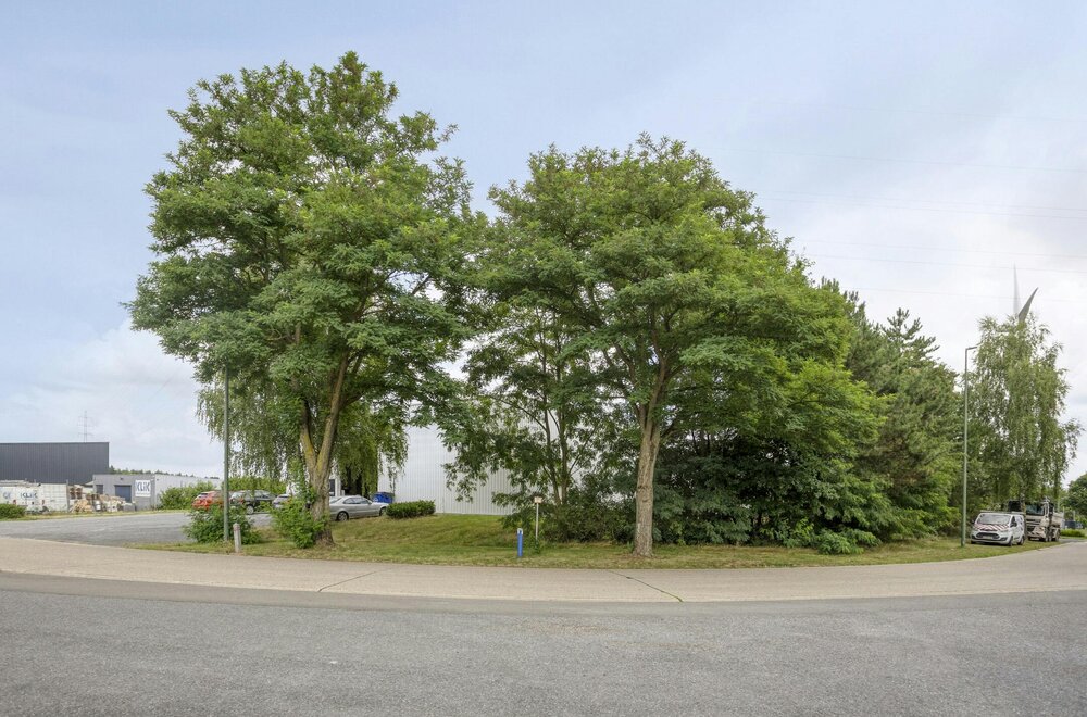 patrimoniumvennootschap-met-drie-bedrijfshallen-en-penthouse005.jpg