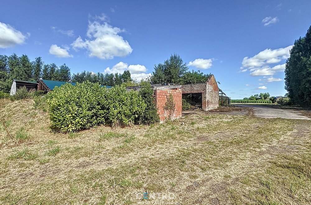 te-renoveren-hoeve-te-damme-op-circa-6-850m2-004.jpg