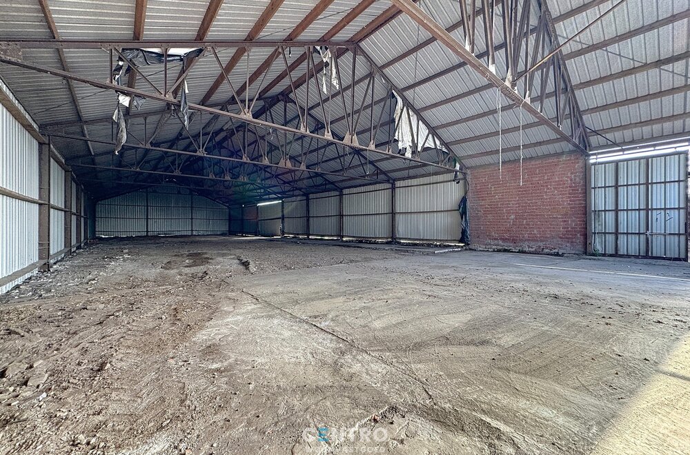 te-renoveren-hoeve-te-damme-op-circa-6-850m2-011.jpg