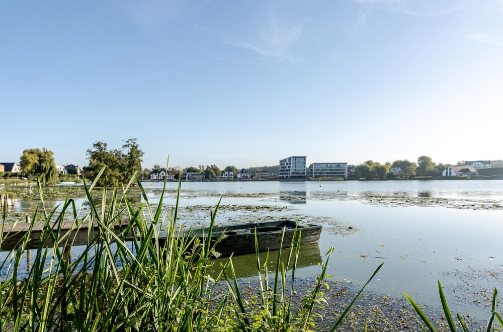 meeuwenpad-6-9290-overmere015.jpg