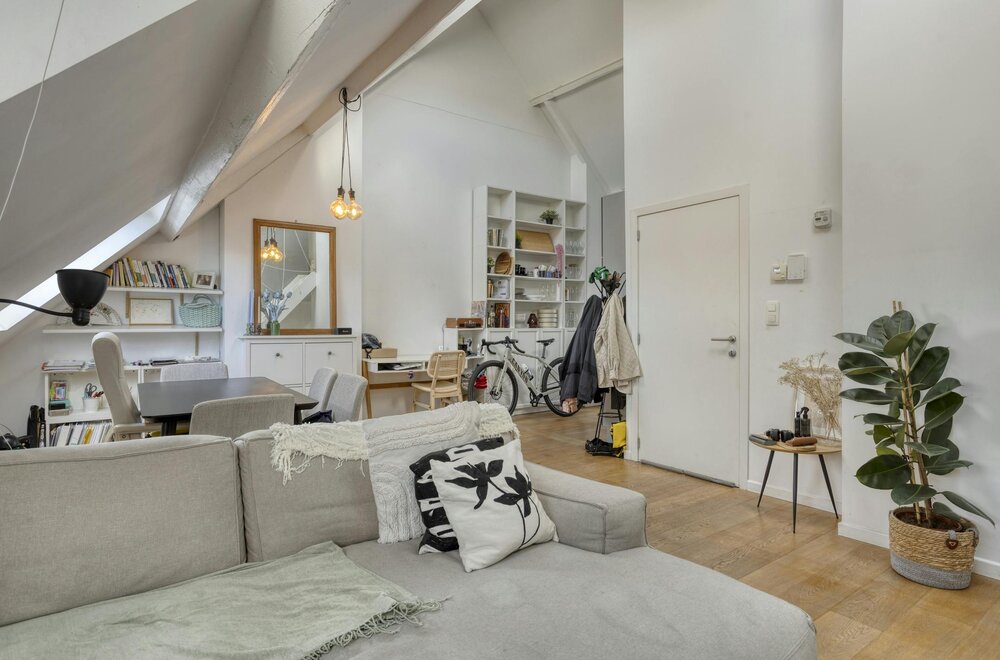 dakappartement-te-koop-op-het-prachtige-antwerpen-zuid001.jpg