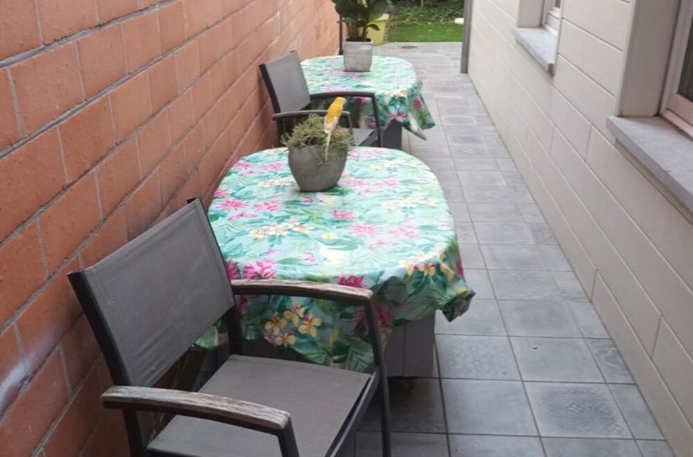 tessenderlo-diesterstraat-18-3980-tessenderlo003.jpg tessenderlo-diesterstraat-18-3980-tessenderlo003.jpg