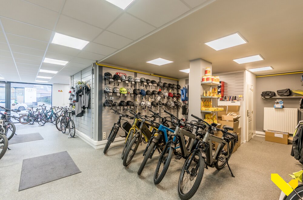 diesterstraat-53-3980-tessenderlo-ham009.jpg diesterstraat-53-3980-tessenderlo-ham009.jpg