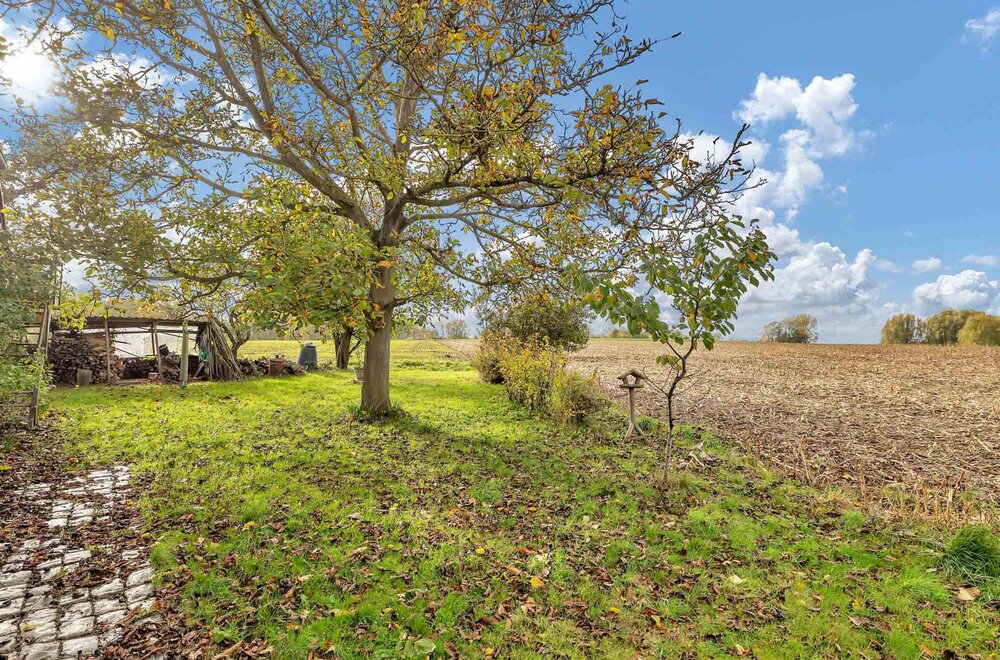 7862-ogy-rue-ponchaut-d-ogy-8041.jpg 7862-ogy-rue-ponchaut-d-ogy-8041.jpg