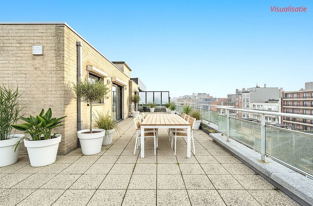ruim-penthouse-appartement-met-groot-terras-op-toplocatie-014.jpg