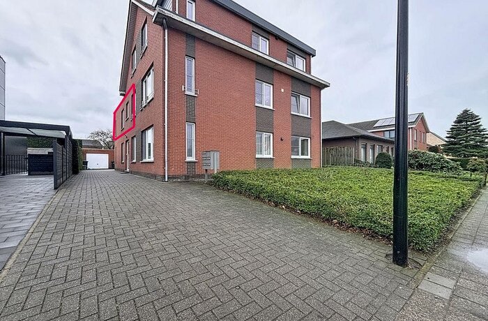 2990 Loenhout