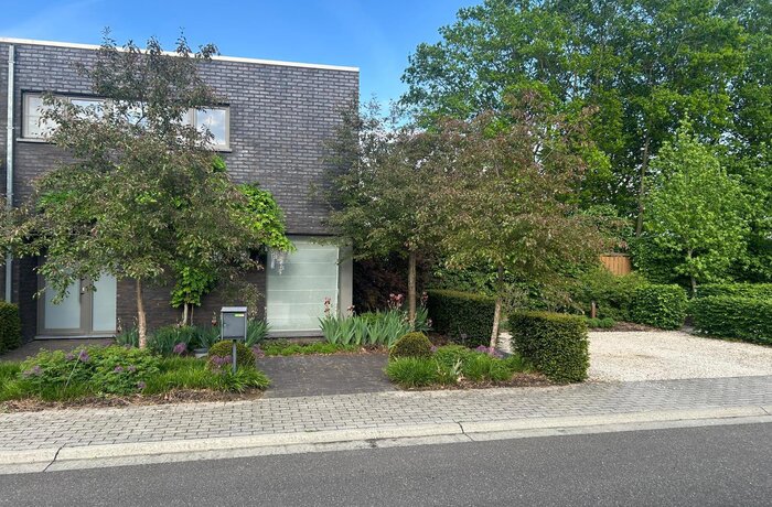 3118 Rotselaar