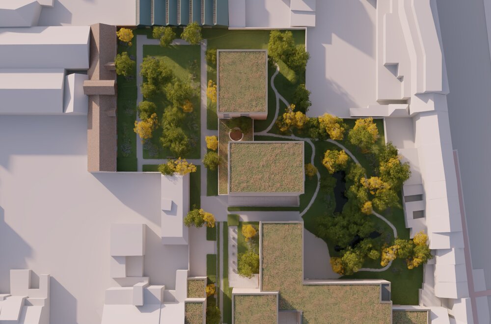 file_1778575735_360_-_Groene__Wandeling_-_Luchtbeeld_-_Top_view.jpg