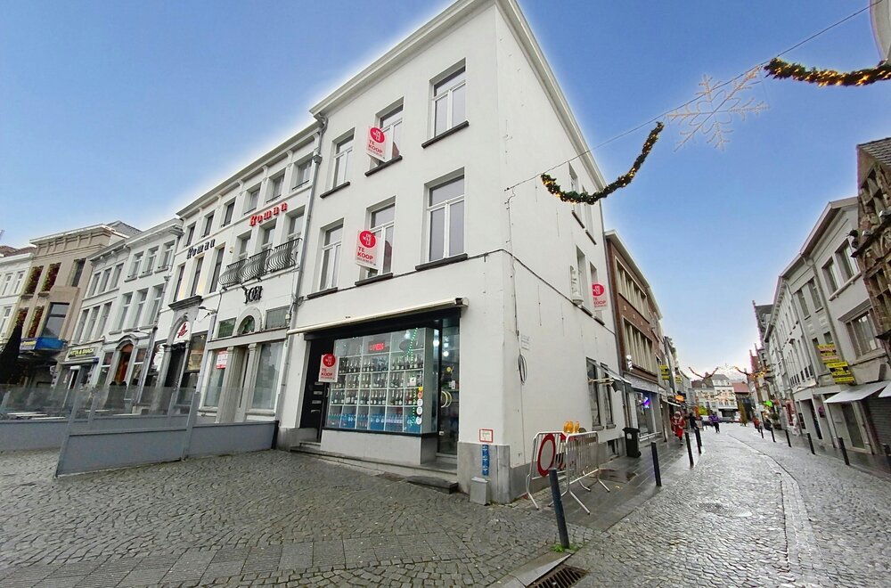 opbrengsteigendom-op-de-markt-te-koop001.jpg