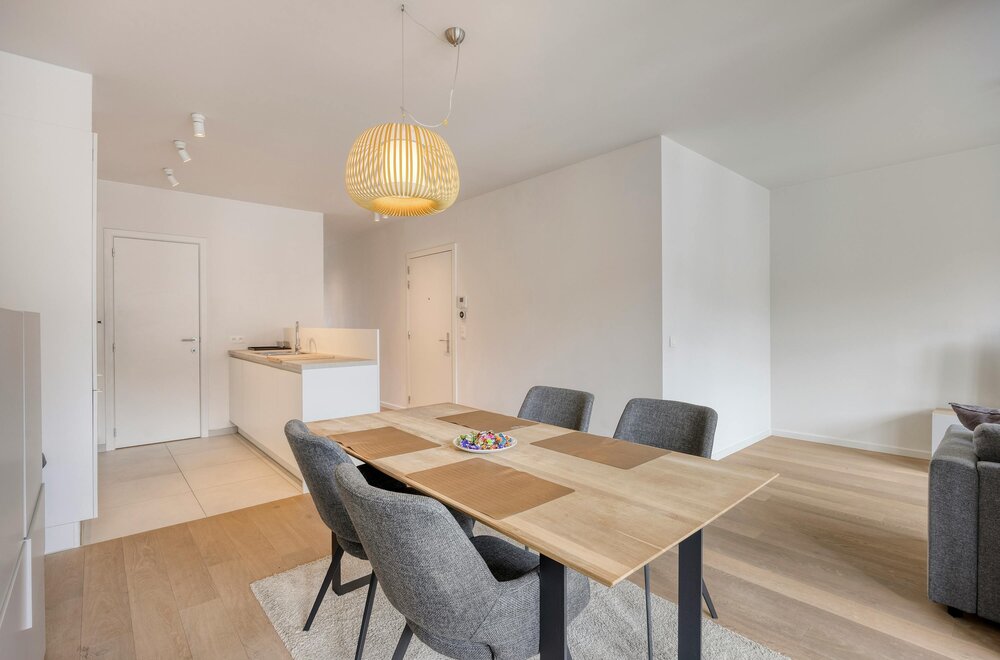 recent-appartement-met-twee-slaapkamers-en-terras-te-koop-in-berchem005.jpg