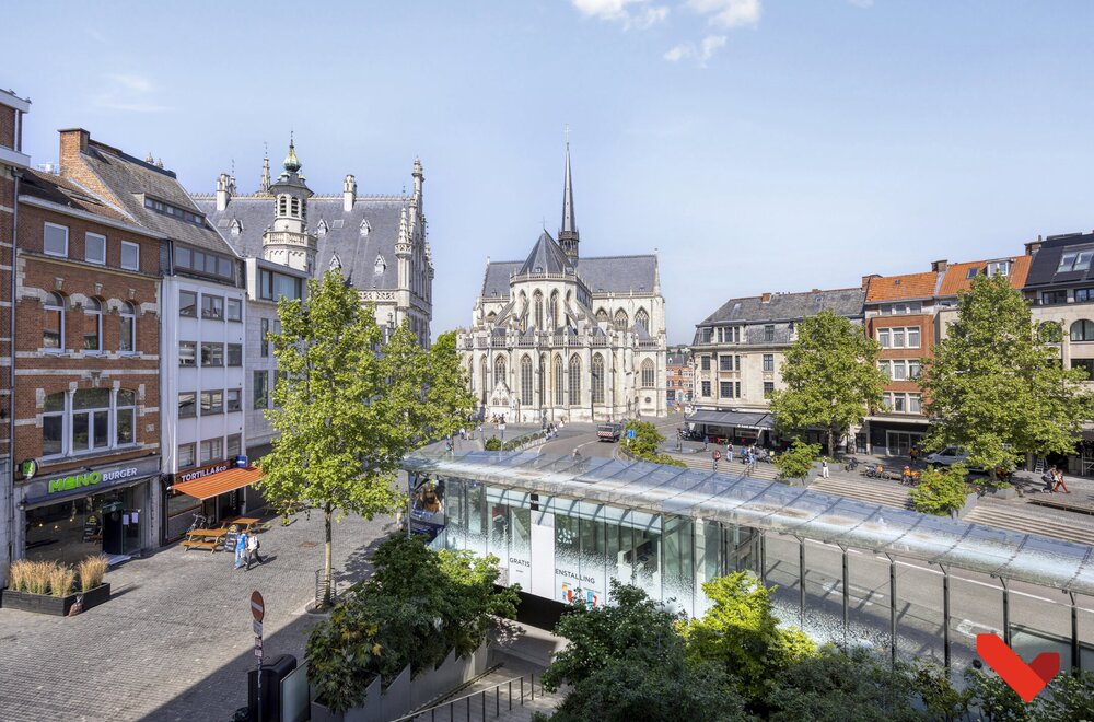 rector-de-somerplein-14b-201-leuven013.jpg