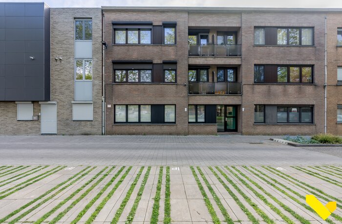 3980 Tessenderlo-Ham