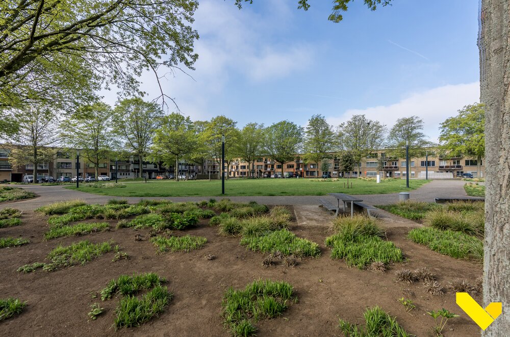 eikelplein-1-bus-2-3980-tessenderlo-ham009.jpg