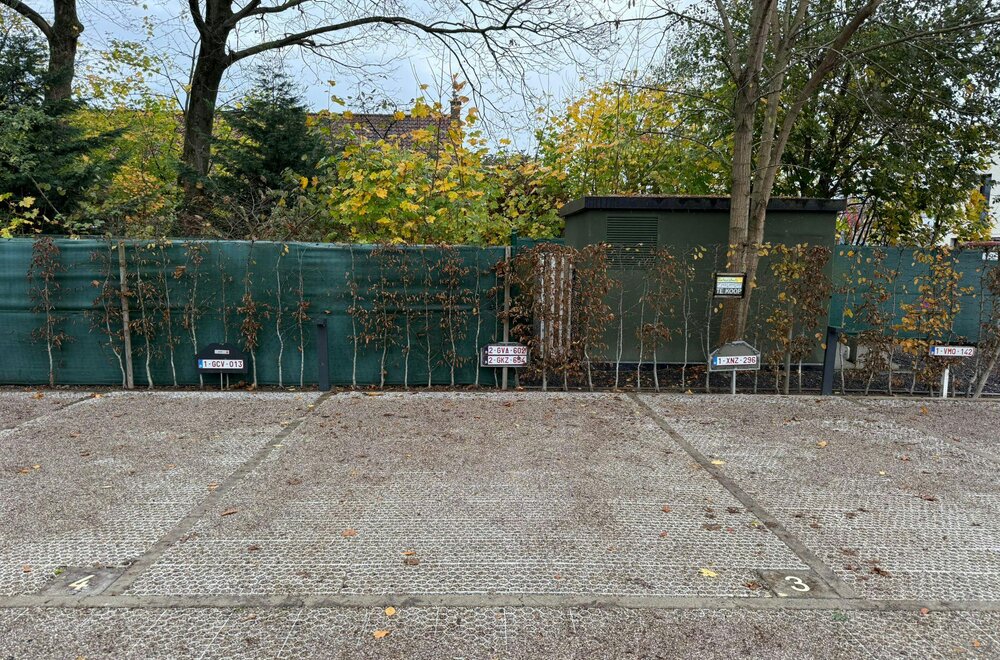bovengrondse-staanplaats-te-koop-in-olsene001.jpg