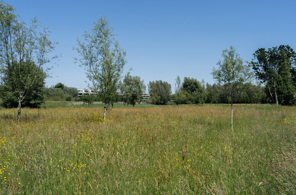 gentbruggekouter-77b-bus-0101013.jpg