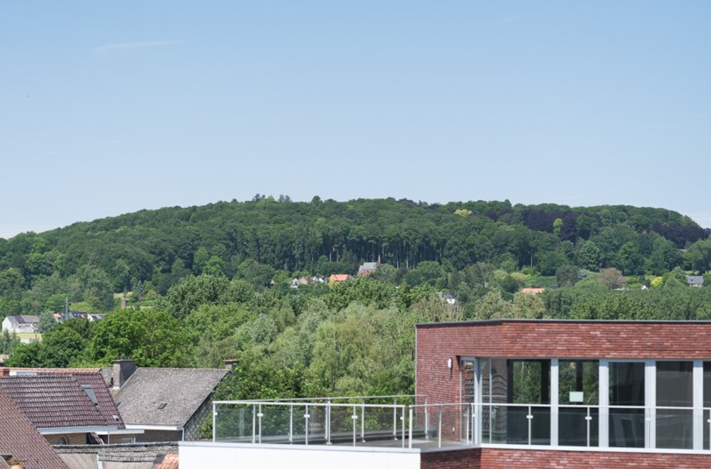 -la-margarita-ronse-instapklaar-wonen-of-slim-investeren-met-zicht-op-1-hectare-groen-030.jpg